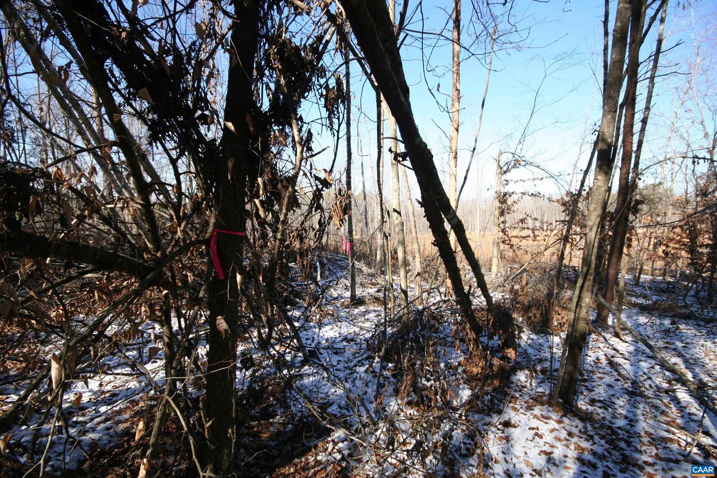 TBA SLATE RIVER MILL RD #2.17 AC. SLATE RIVER, BUCKINGHAM, Virginia 23921, ,Land,For sale,TBA SLATE RIVER MILL RD #2.17 AC. SLATE RIVER,672716 MLS # 672716