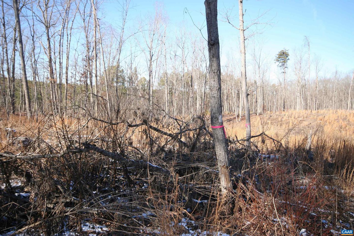 TBA SLATE RIVER MILL RD #2.17 AC. SLATE RIVER, BUCKINGHAM, Virginia 23921, ,Land,For sale,TBA SLATE RIVER MILL RD #2.17 AC. SLATE RIVER,672716 MLS # 672716