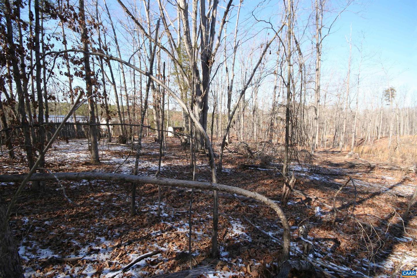 TBA SLATE RIVER MILL RD #2.17 AC. SLATE RIVER, BUCKINGHAM, Virginia 23921, ,Land,For sale,TBA SLATE RIVER MILL RD #2.17 AC. SLATE RIVER,672716 MLS # 672716