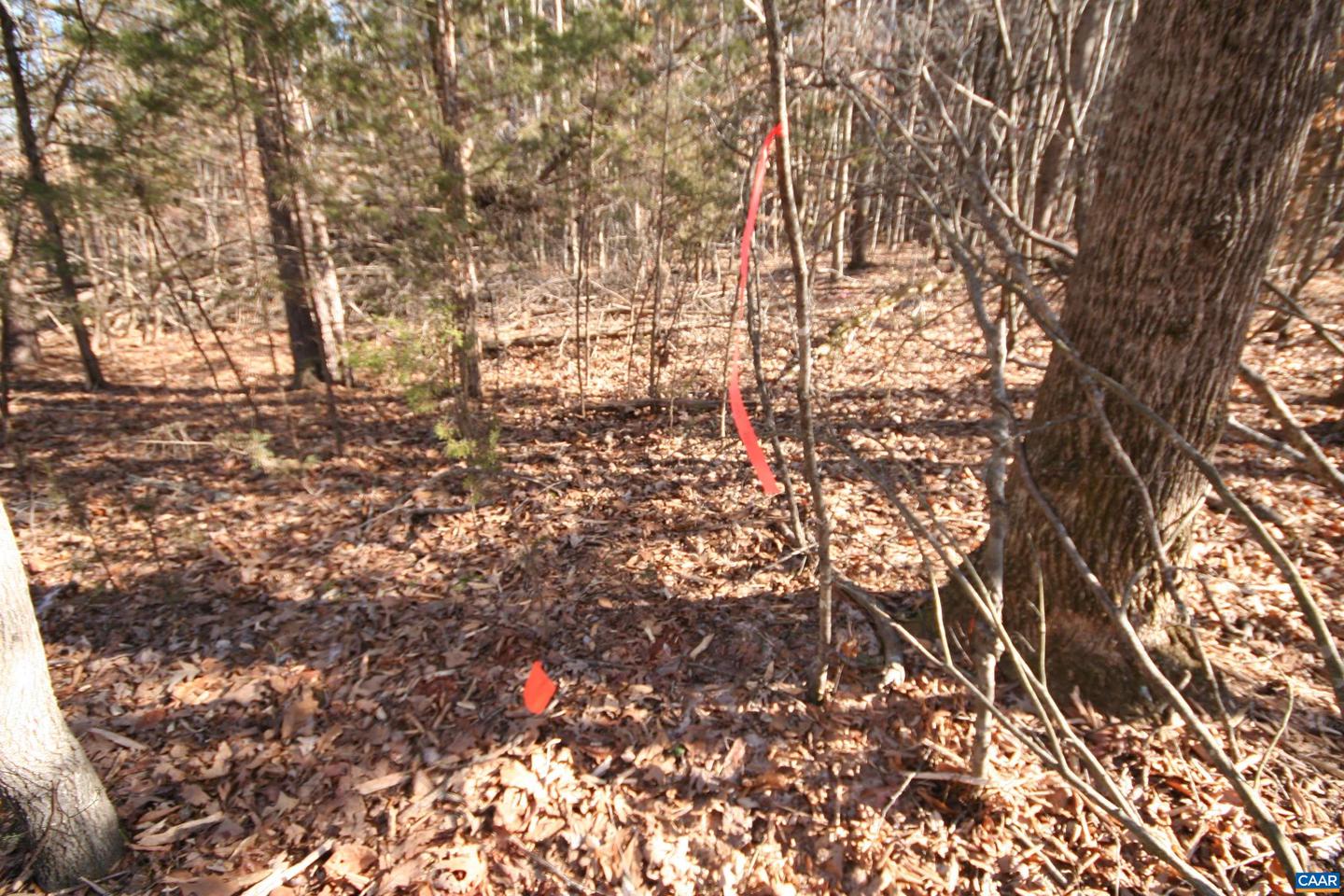 TBA SLATE RIVER MILL RD #2.17 AC. SLATE RIVER, BUCKINGHAM, Virginia 23921, ,Land,For sale,TBA SLATE RIVER MILL RD #2.17 AC. SLATE RIVER,672716 MLS # 672716