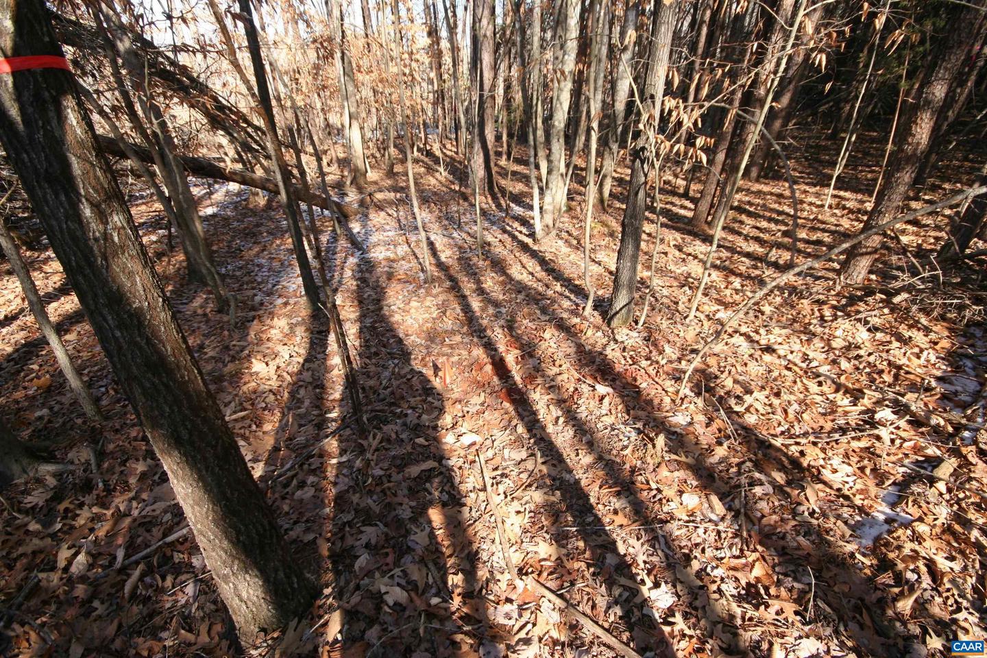 TBA SLATE RIVER MILL RD #2.17 AC. SLATE RIVER, BUCKINGHAM, Virginia 23921, ,Land,For sale,TBA SLATE RIVER MILL RD #2.17 AC. SLATE RIVER,672716 MLS # 672716