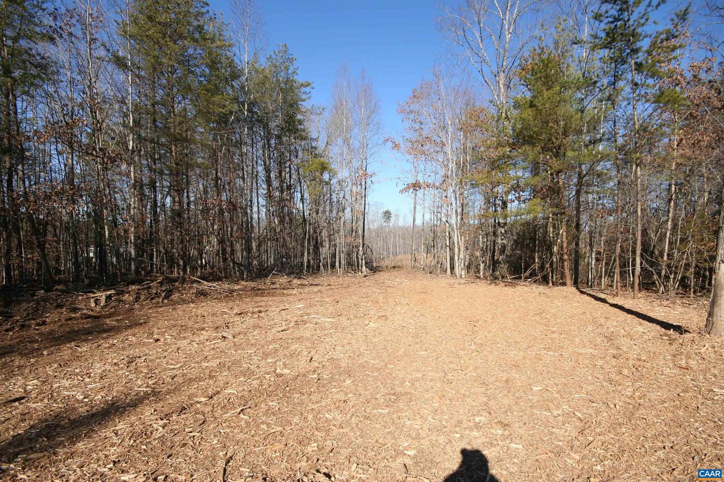 TBA SLATE RIVER MILL RD #2.17 AC. SLATE RIVER, BUCKINGHAM, Virginia 23921, ,Land,For sale,TBA SLATE RIVER MILL RD #2.17 AC. SLATE RIVER,672716 MLS # 672716