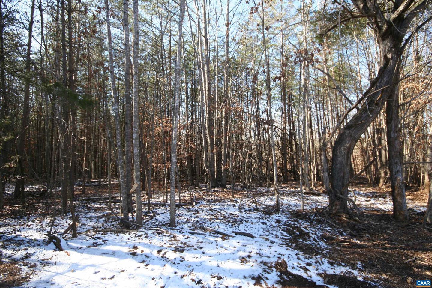 TBA SLATE RIVER MILL RD #2.17 AC. SLATE RIVER, BUCKINGHAM, Virginia 23921, ,Land,For sale,TBA SLATE RIVER MILL RD #2.17 AC. SLATE RIVER,672716 MLS # 672716