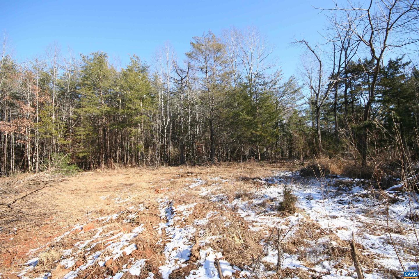 TBA SLATE RIVER MILL RD #2.17 AC. SLATE RIVER, BUCKINGHAM, Virginia 23921, ,Land,For sale,TBA SLATE RIVER MILL RD #2.17 AC. SLATE RIVER,672716 MLS # 672716