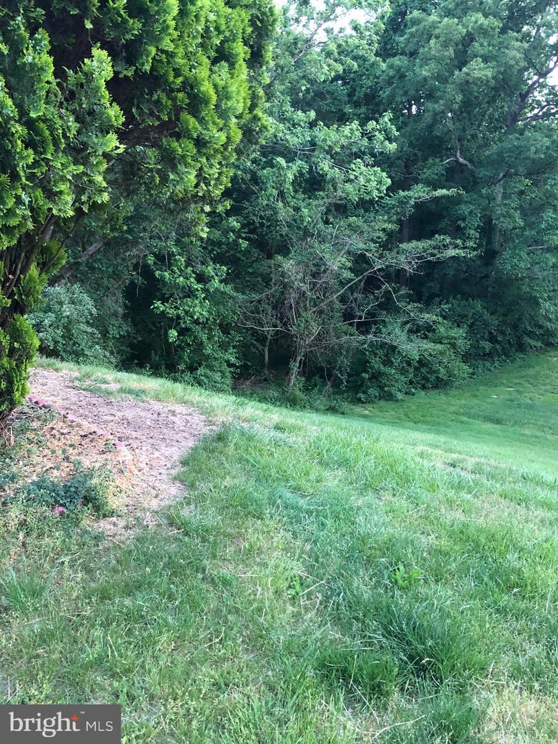 BEARFOOT LN LOT133-(2)-L2-5083-5889 BEARFOOT LN #5, ELKTON, Virginia 22827, ,Land,For sale,BEARFOOT LN LOT133-(2)-L2-5083-5889 BEARFOOT LN #5,VARO2002820 MLS # VARO2002820