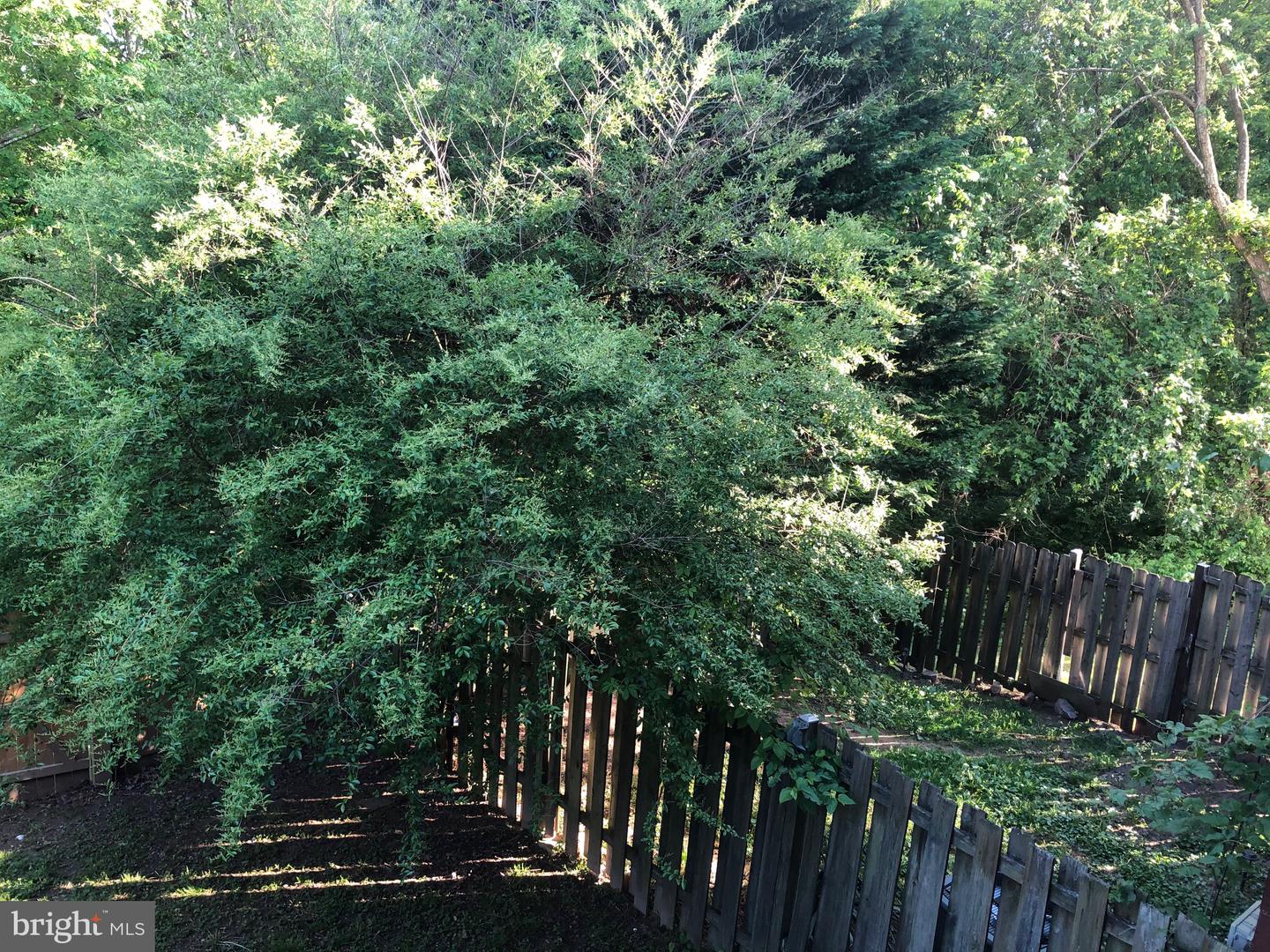 BEARFOOT LN LOT133-(2)-L2-5083-5889 BEARFOOT LN #5, ELKTON, Virginia 22827, ,Land,For sale,BEARFOOT LN LOT133-(2)-L2-5083-5889 BEARFOOT LN #5,VARO2002820 MLS # VARO2002820