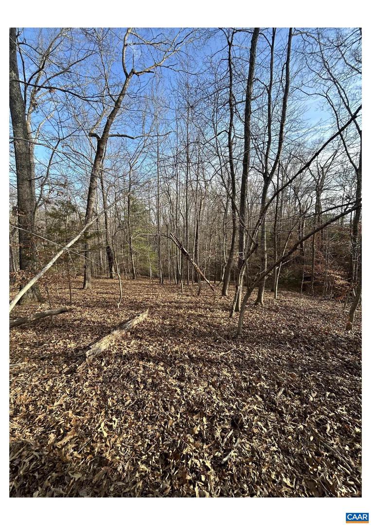 0 FISHING CREEK LN, EARLYSVILLE, Virginia 22936, ,Land,For sale,0 FISHING CREEK LN,672761 MLS # 672761