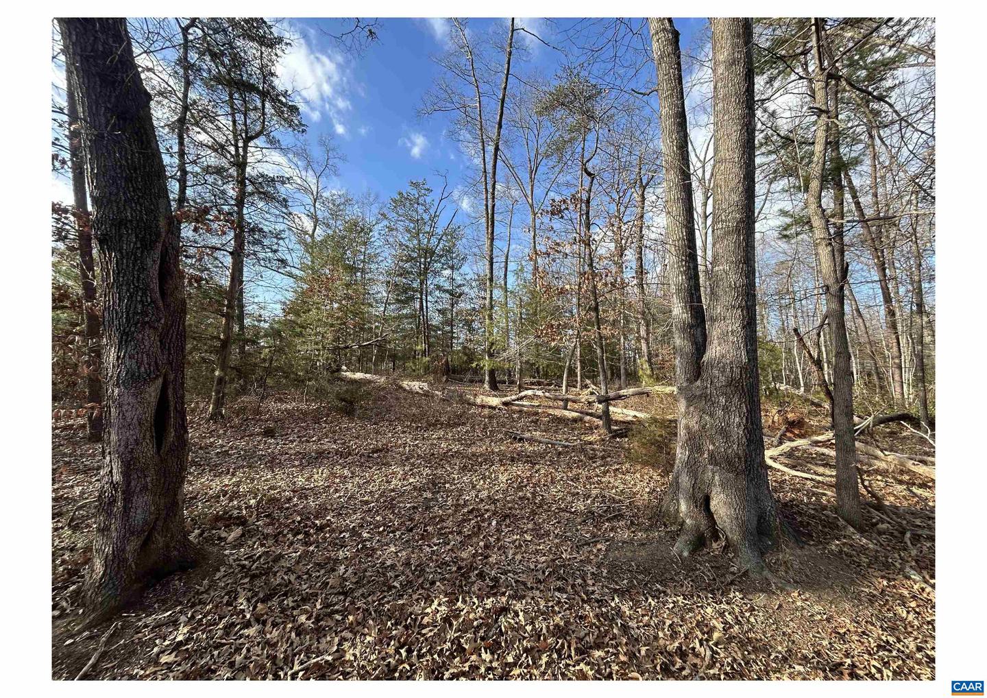 0 FISHING CREEK LN, EARLYSVILLE, Virginia 22936, ,Land,For sale,0 FISHING CREEK LN,672761 MLS # 672761