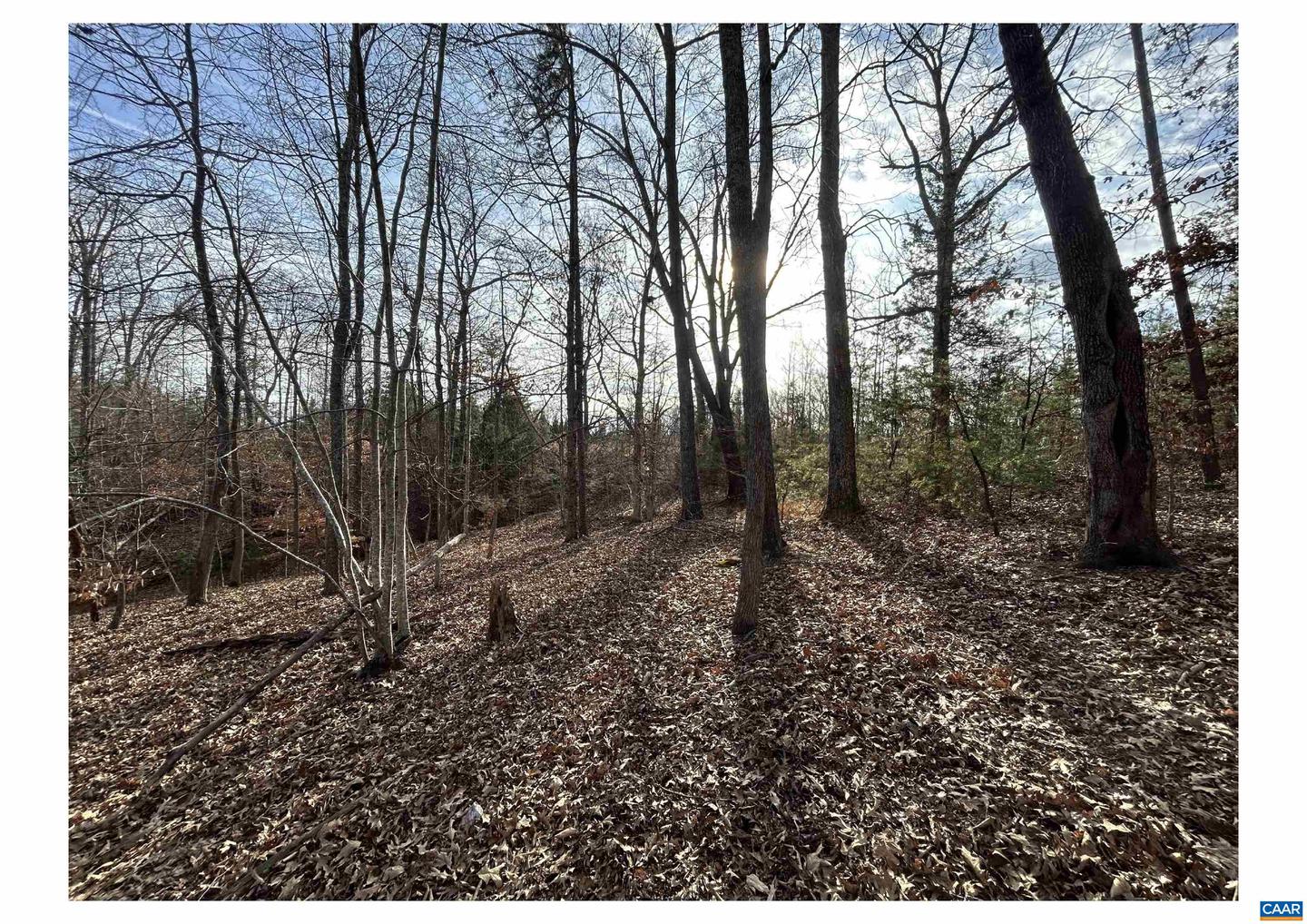 0 FISHING CREEK LN, EARLYSVILLE, Virginia 22936, ,Land,For sale,0 FISHING CREEK LN,672761 MLS # 672761