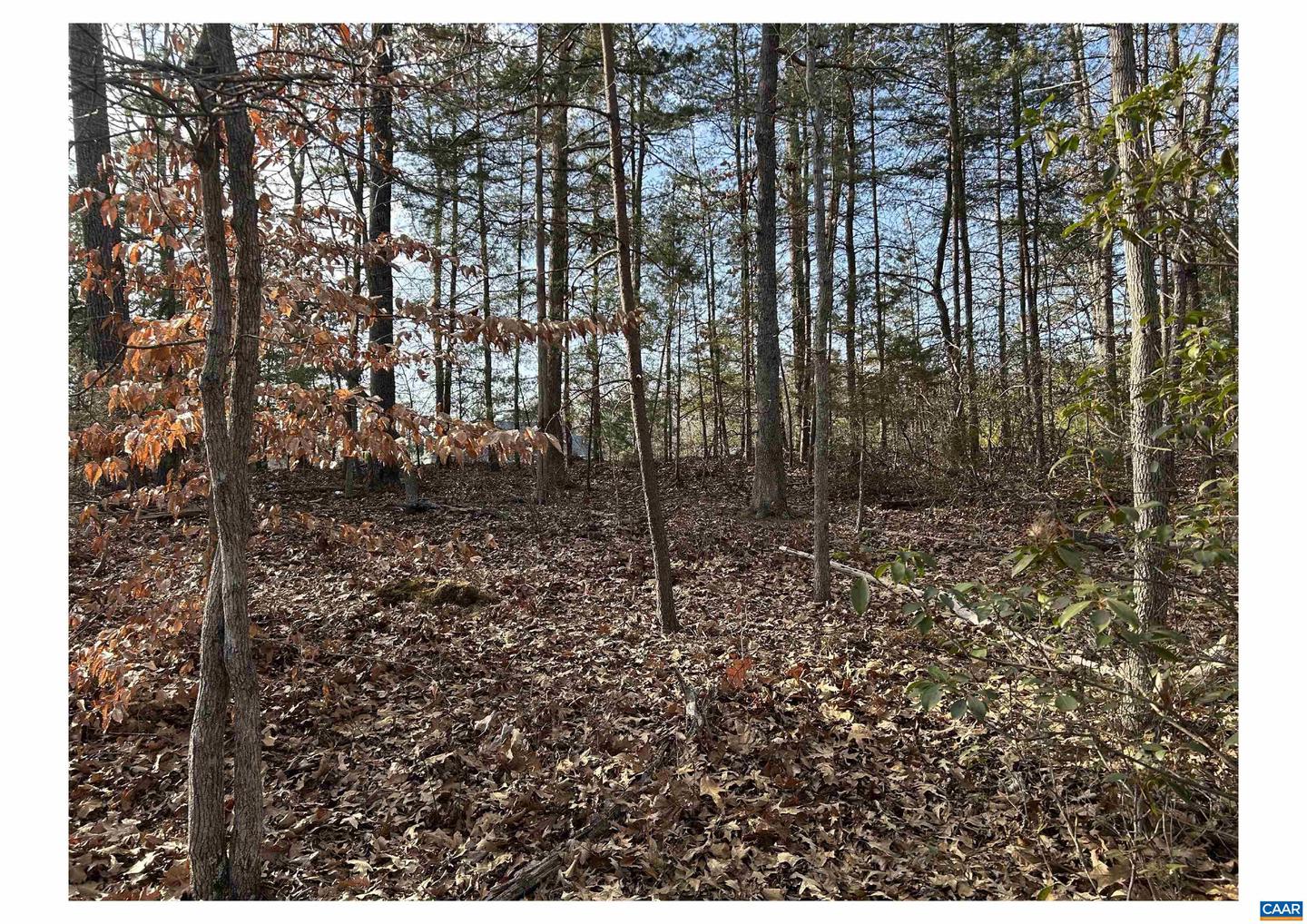 0 FISHING CREEK LN, EARLYSVILLE, Virginia 22936, ,Land,For sale,0 FISHING CREEK LN,672761 MLS # 672761