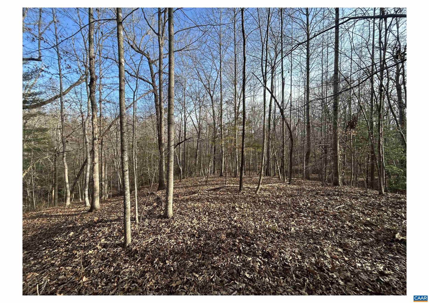 0 FISHING CREEK LN, EARLYSVILLE, Virginia 22936, ,Land,For sale,0 FISHING CREEK LN,672761 MLS # 672761
