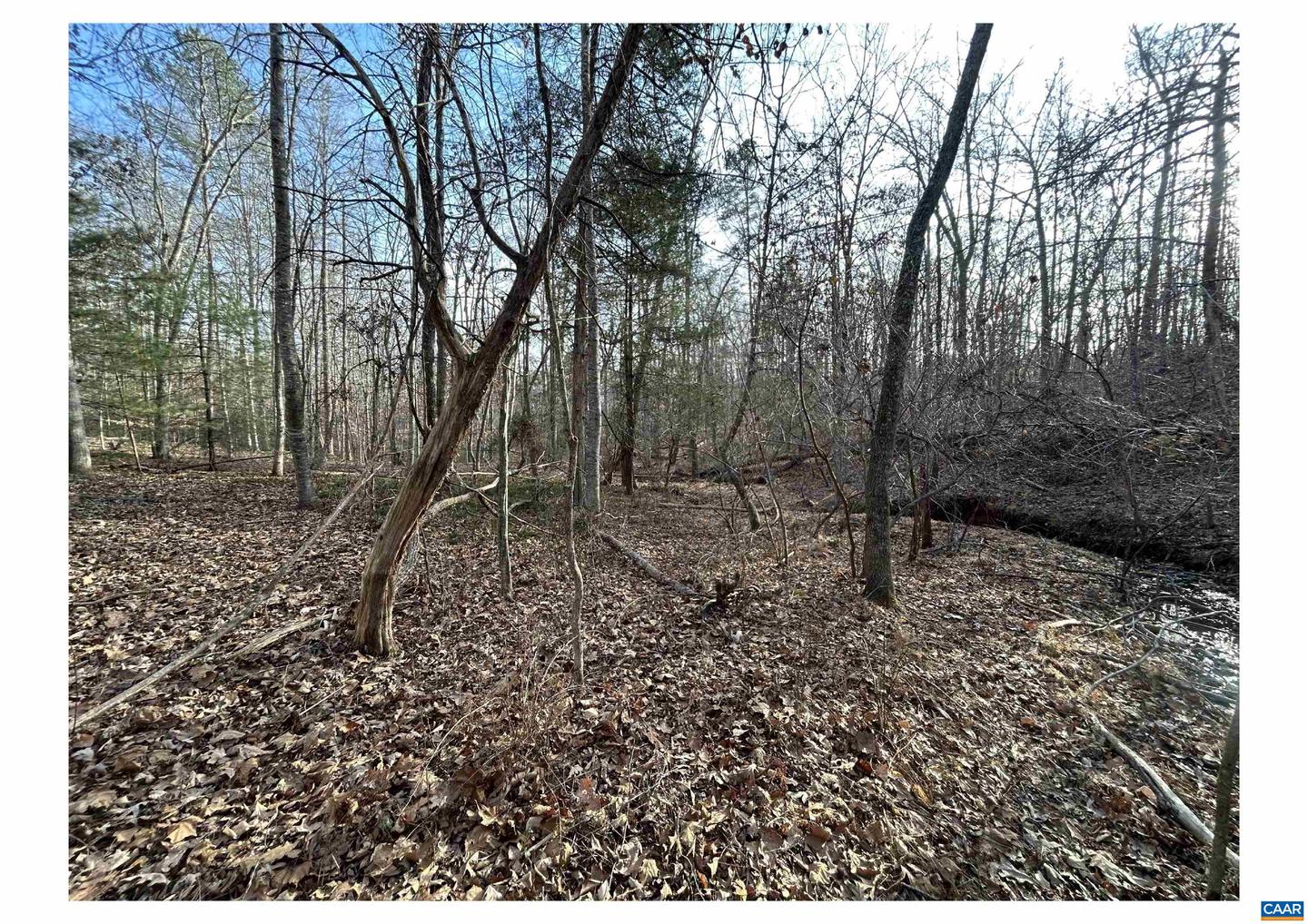 0 FISHING CREEK LN, EARLYSVILLE, Virginia 22936, ,Land,For sale,0 FISHING CREEK LN,672761 MLS # 672761