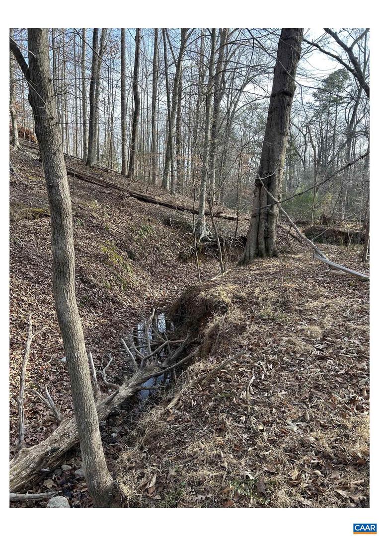 0 FISHING CREEK LN, EARLYSVILLE, Virginia 22936, ,Land,For sale,0 FISHING CREEK LN,672761 MLS # 672761