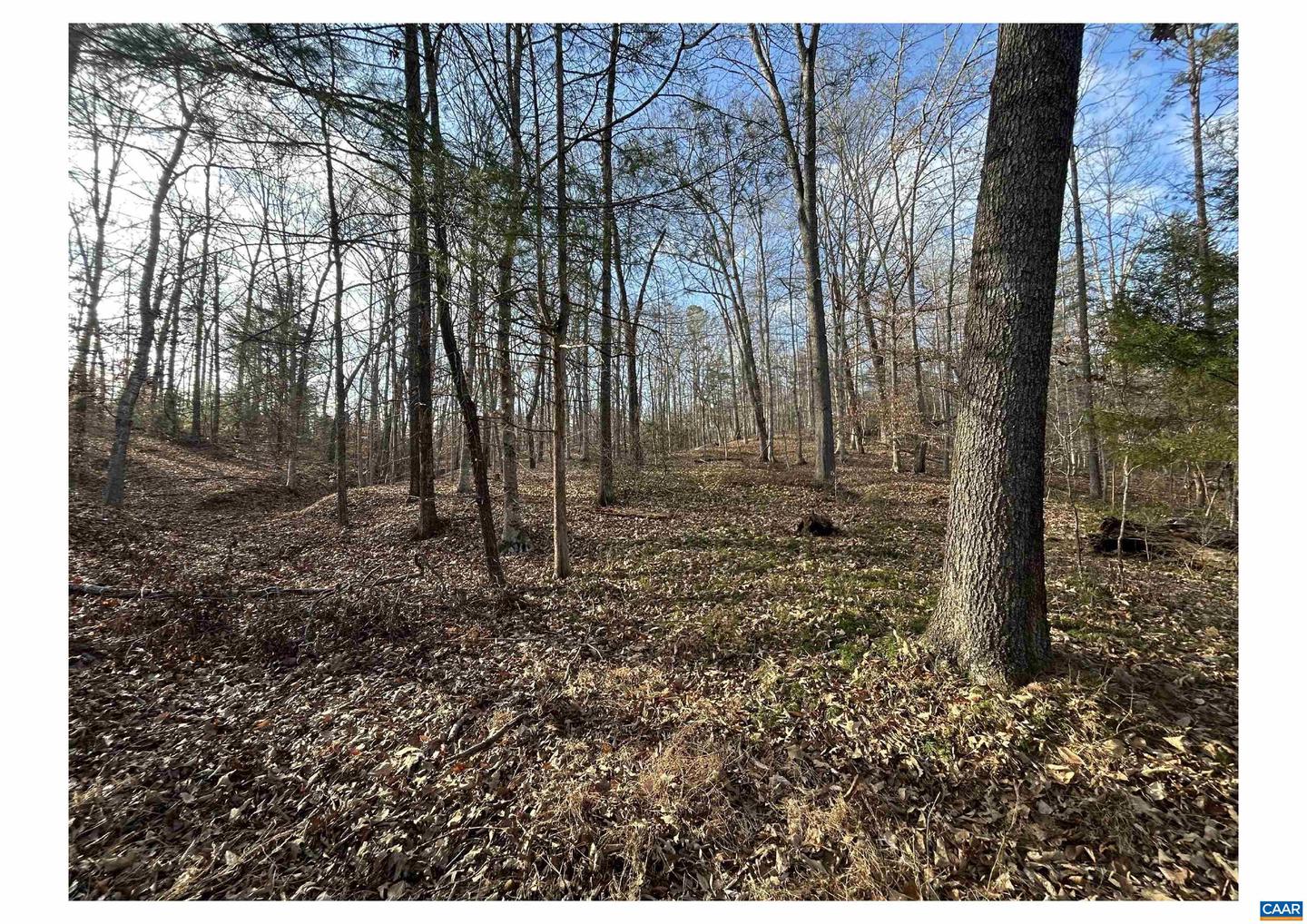 0 FISHING CREEK LN, EARLYSVILLE, Virginia 22936, ,Land,For sale,0 FISHING CREEK LN,672761 MLS # 672761