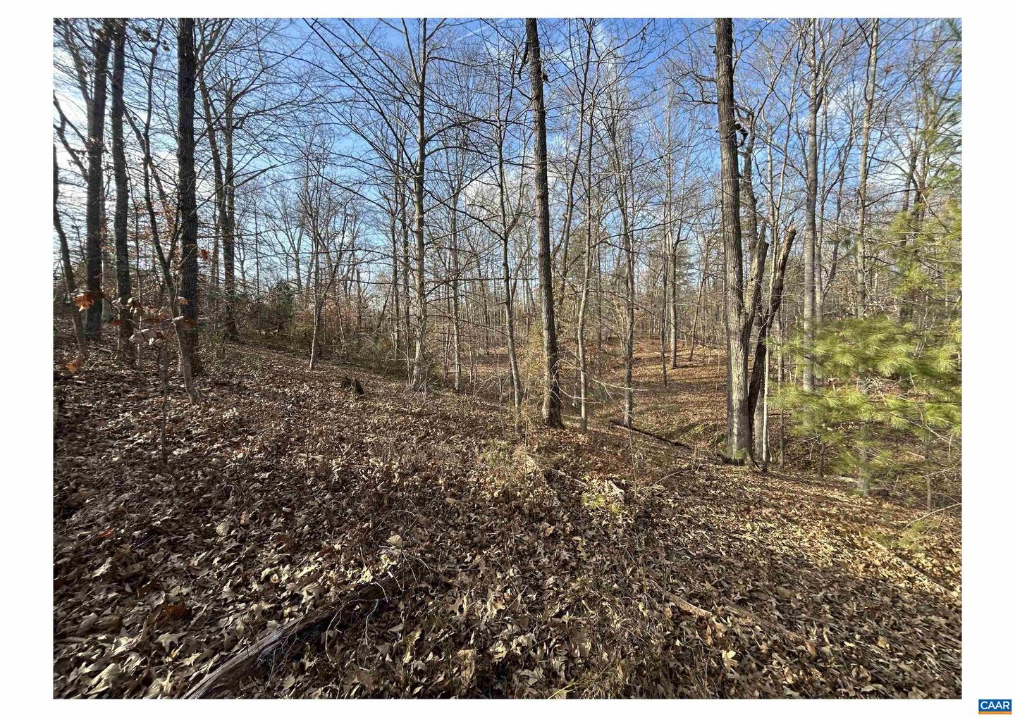 0 FISHING CREEK LN, EARLYSVILLE, Virginia 22936, ,Land,For sale,0 FISHING CREEK LN,672761 MLS # 672761