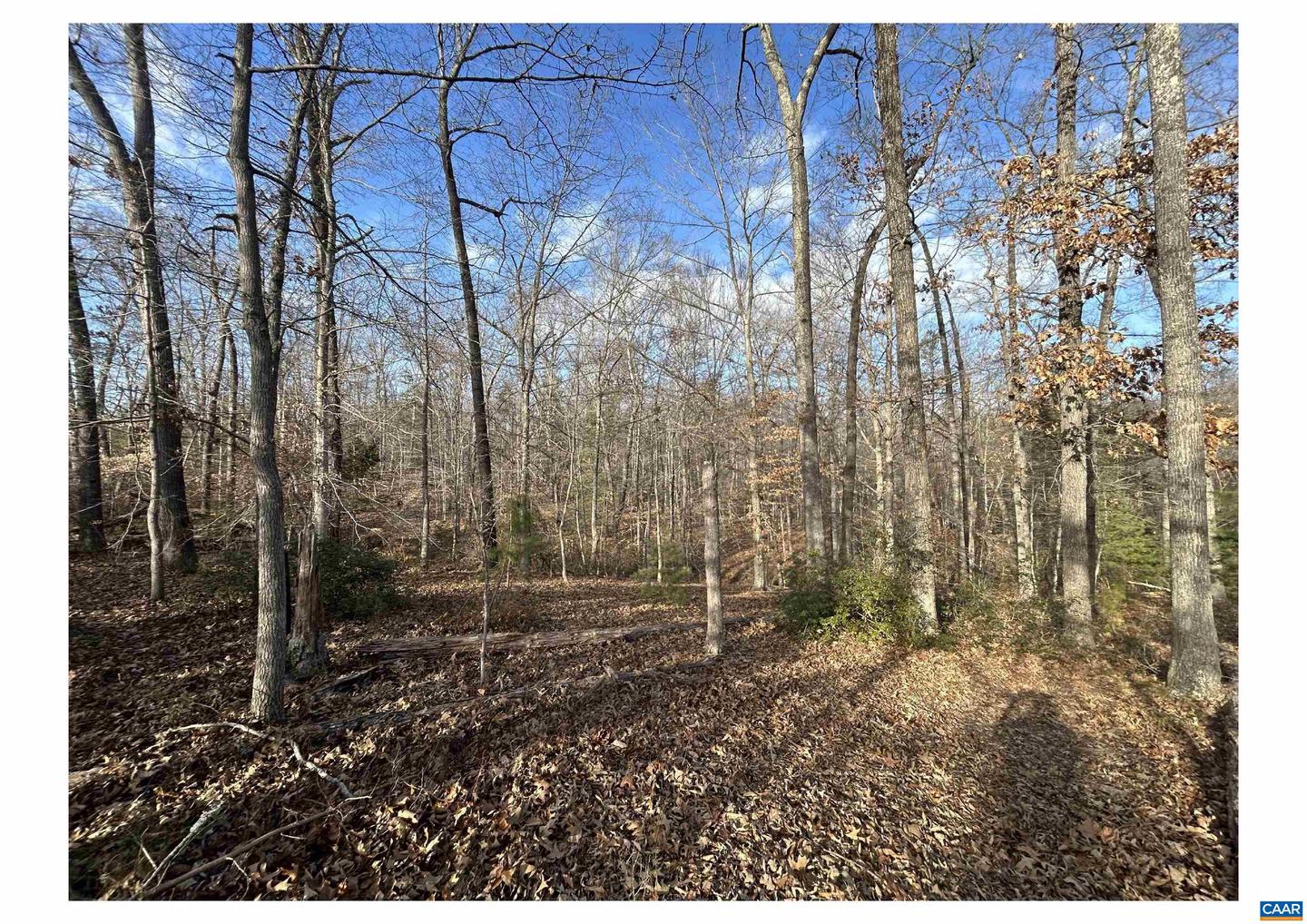 0 FISHING CREEK LN, EARLYSVILLE, Virginia 22936, ,Land,For sale,0 FISHING CREEK LN,672761 MLS # 672761
