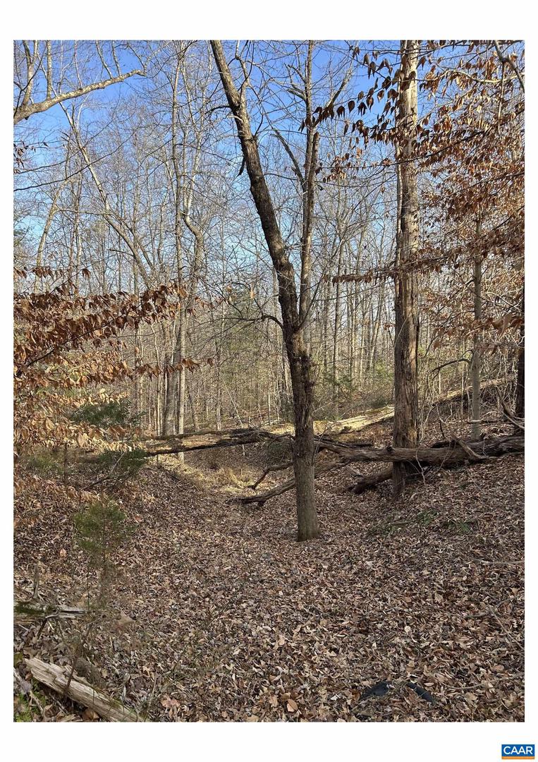 0 FISHING CREEK LN, EARLYSVILLE, Virginia 22936, ,Land,For sale,0 FISHING CREEK LN,672761 MLS # 672761