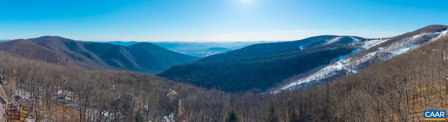 211 CHESTNUT PL #16, WINTERGREEN RESORT, Virginia 22967, ,Land,For sale,211 CHESTNUT PL #16,672764 MLS # 672764