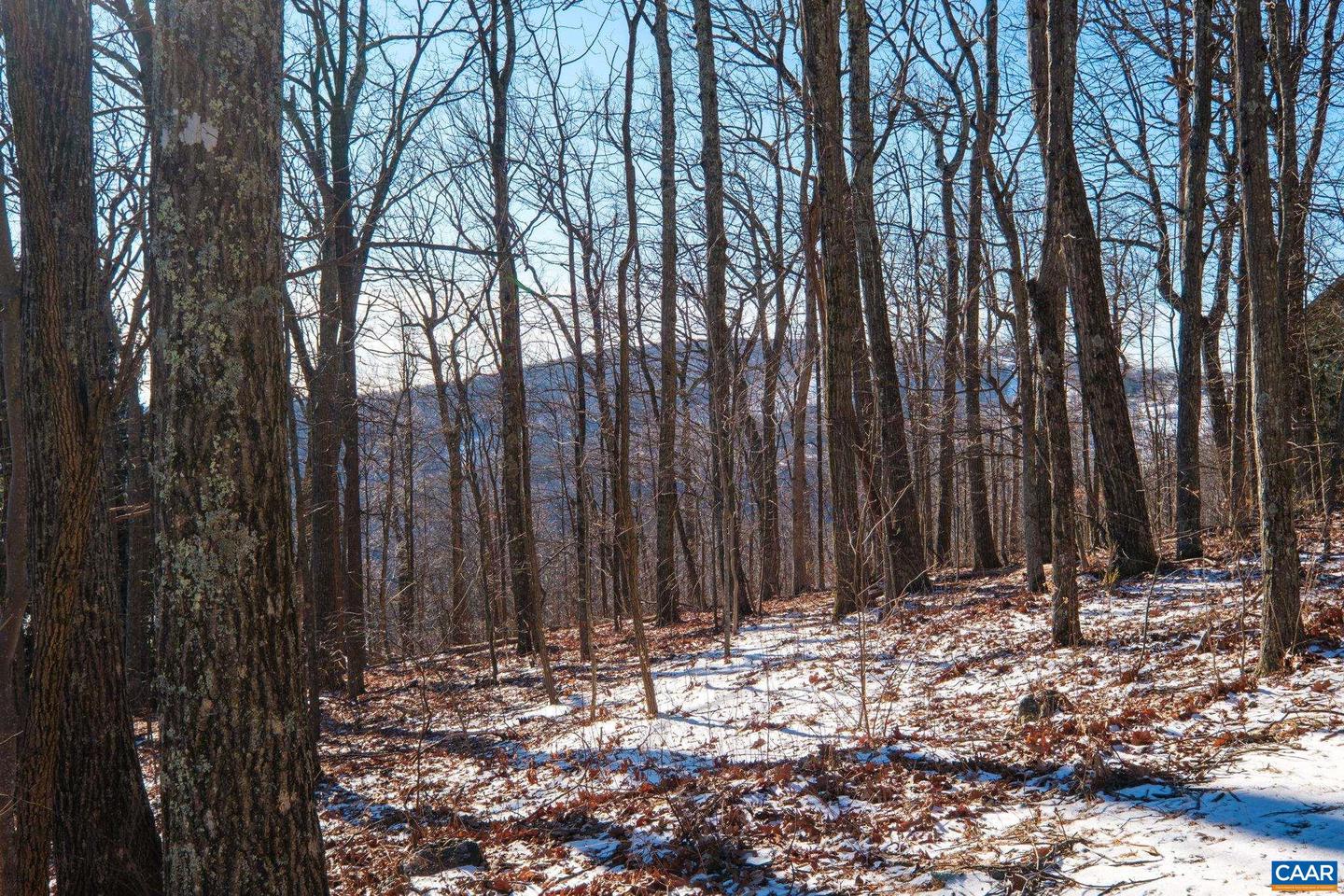 211 CHESTNUT PL #16, WINTERGREEN RESORT, Virginia 22967, ,Land,For sale,211 CHESTNUT PL #16,672764 MLS # 672764