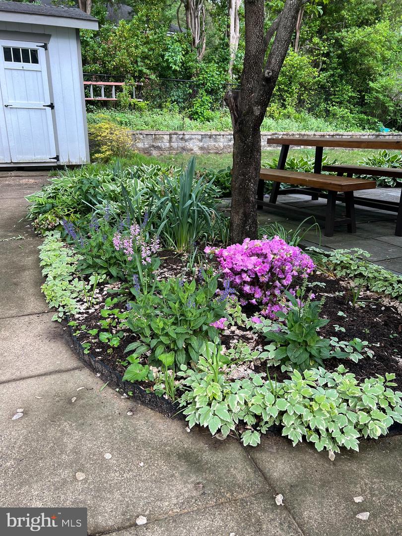 2723 N GEORGE MASON DR N, ARLINGTON, Virginia 22207, 3 Bedrooms Bedrooms, ,2 BathroomsBathrooms,Residential,For sale,2723 N GEORGE MASON DR N,VAAR2066074 MLS # VAAR2066074