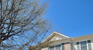 3632 RANSOM PL, ALEXANDRIA, Virginia 22306, 3 Bedrooms Bedrooms, ,2 BathroomsBathrooms,Residential,For sale,3632 RANSOM PL,VAFX2282848 MLS # VAFX2282848