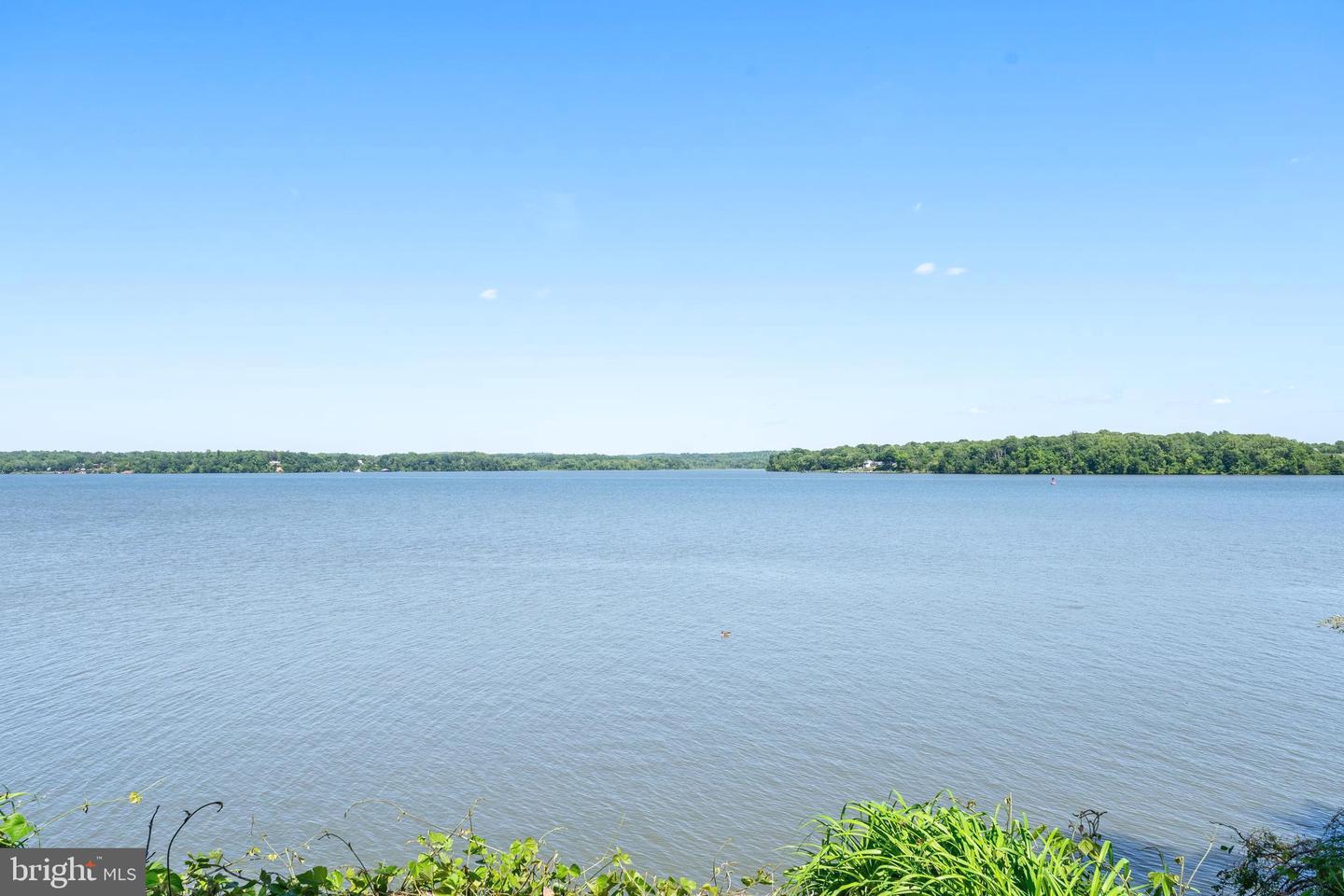 815 ARCTURUS ON THE POTOMAC, ALEXANDRIA, Virginia 22308, 5 Bedrooms Bedrooms, ,3 BathroomsBathrooms,Residential,For sale,815 ARCTURUS ON THE POTOMAC,VAFX2284026 MLS # VAFX2284026