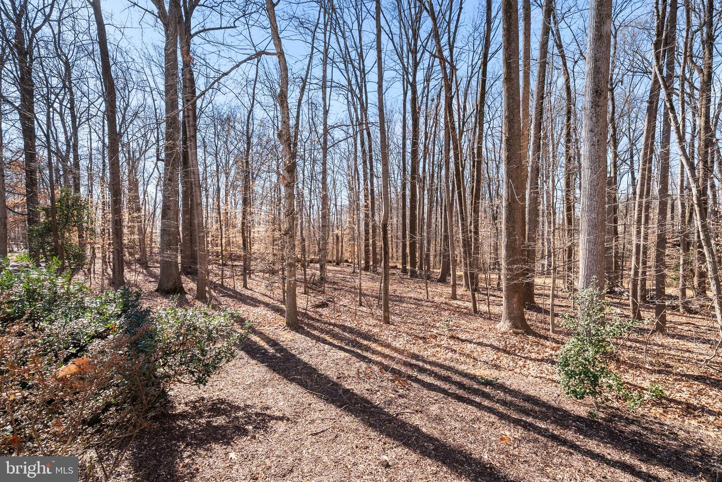 4926 NOVAK LN, FAIRFAX, Virginia 22030, 4 Bedrooms Bedrooms, ,4 BathroomsBathrooms,Residential,For sale,4926 NOVAK LN,VAFX2285996 MLS # VAFX2285996