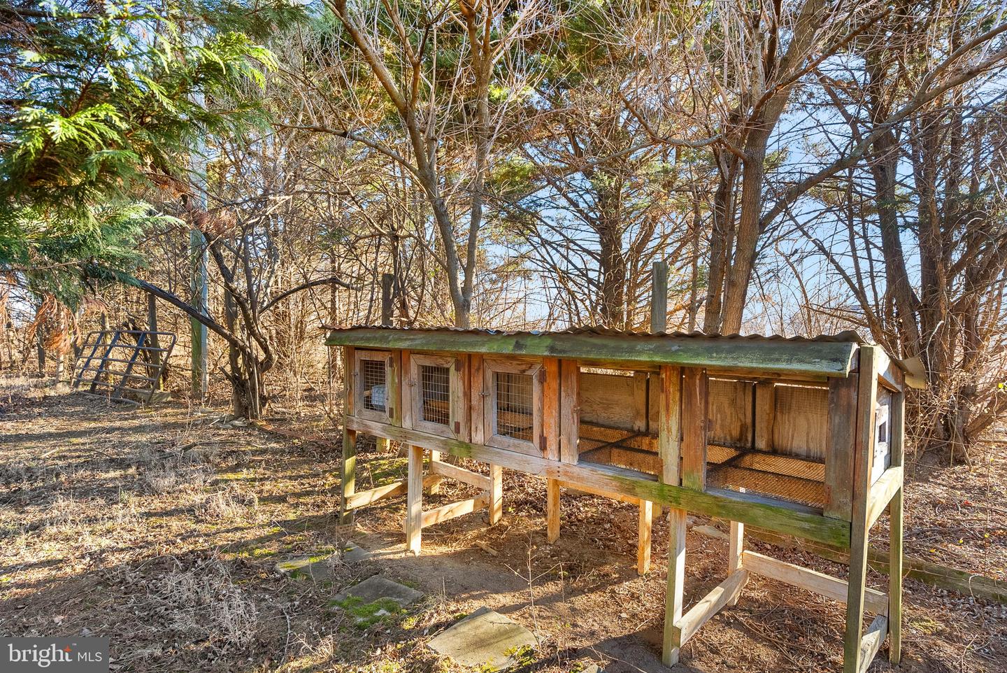 12045 HARRY BYRD HWY, BERRYVILLE, Virginia 22611, 4 Bedrooms Bedrooms, ,2 BathroomsBathrooms,Residential,For sale,12045 HARRY BYRD HWY,VACL2006342 MLS # VACL2006342