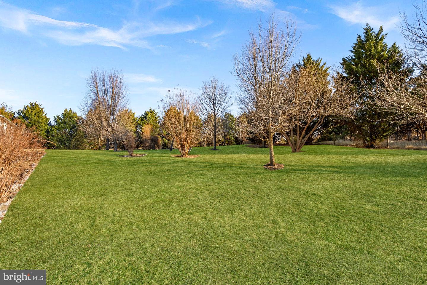 12045 HARRY BYRD HWY, BERRYVILLE, Virginia 22611, 4 Bedrooms Bedrooms, ,2 BathroomsBathrooms,Residential,For sale,12045 HARRY BYRD HWY,VACL2006342 MLS # VACL2006342