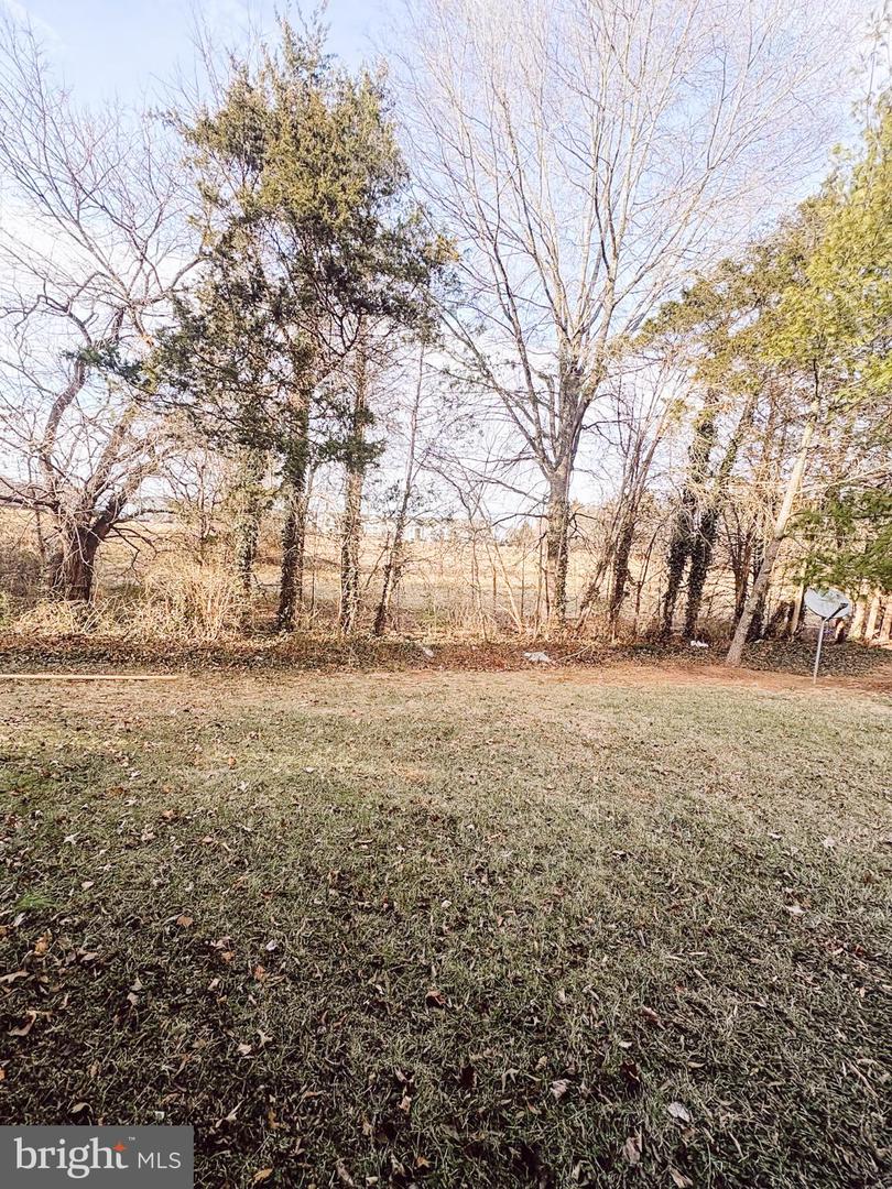 6151 NEWTON LN, BEALETON, Virginia 22712, 3 Bedrooms Bedrooms, 12 Rooms Rooms,2 BathroomsBathrooms,Residential,For sale,6151 NEWTON LN,VAFQ2020180 MLS # VAFQ2020180 6151 NEWTON LN, BEALETON, Virginia 22712, 3 Bedrooms Bedrooms, 12 Rooms Rooms,2 BathroomsBathrooms,Residential,For sale,6151 NEWTON LN,VAFQ2020180 MLS # VAFQ2020180