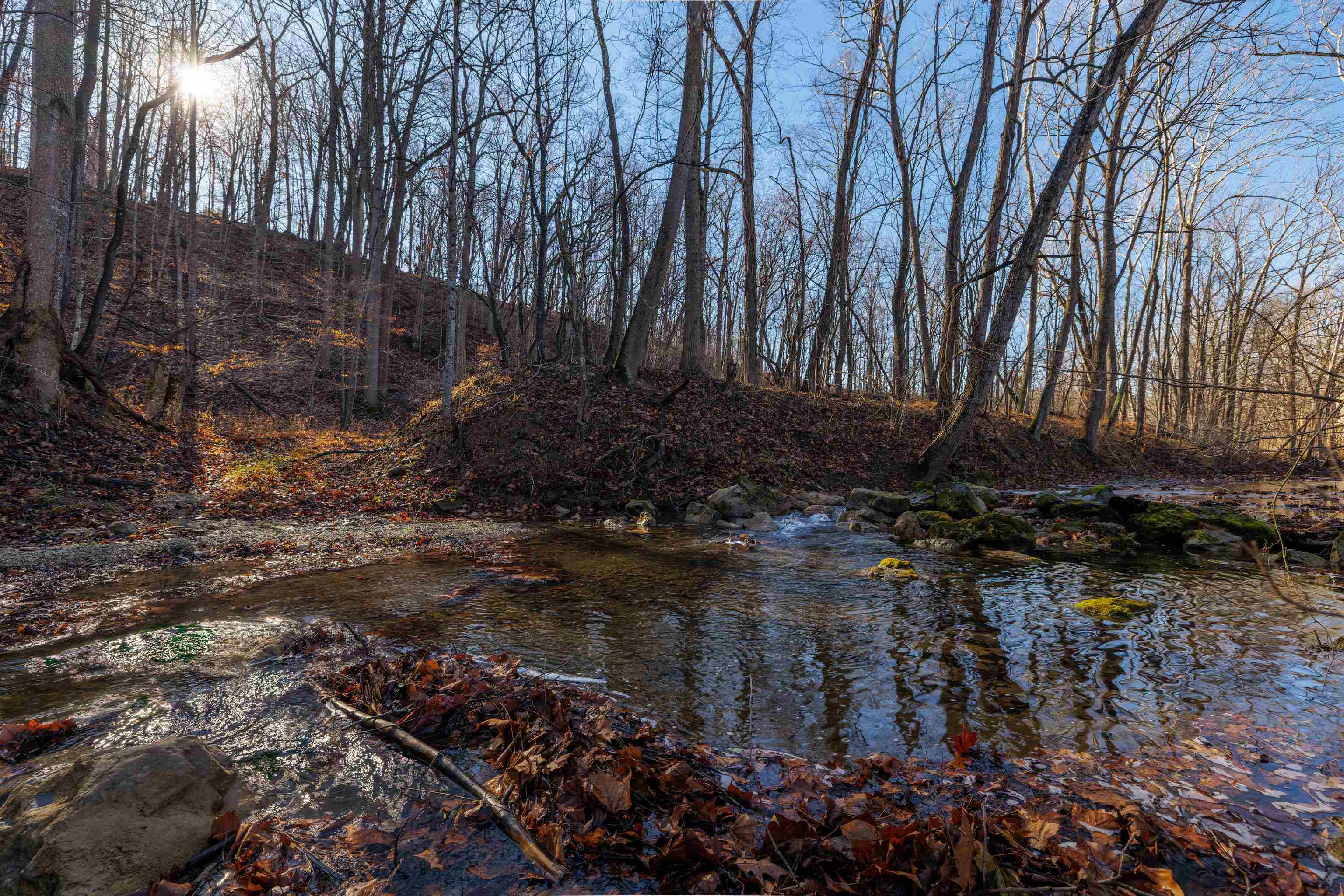 12.2 acres TURLEYTOWN RD, BROADWAY, Virginia 22815, ,Commercial,12.2 acres TURLEYTOWN RD,672773 MLS # 672773 12.2 acres TURLEYTOWN RD, BROADWAY, Virginia 22815, ,Commercial,12.2 acres TURLEYTOWN RD,672773 MLS # 672773
