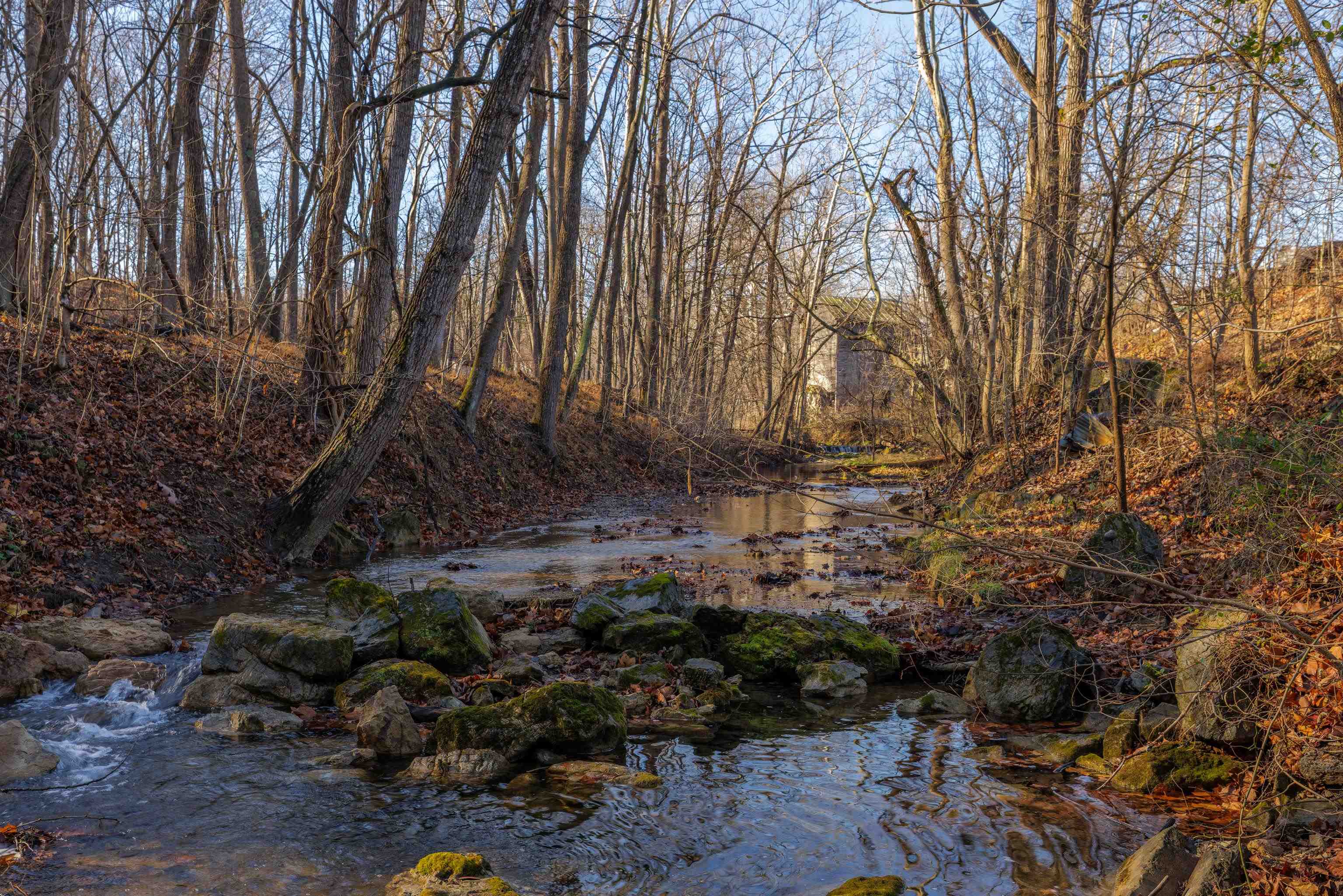 12.2 acres TURLEYTOWN RD, BROADWAY, Virginia 22815, ,Commercial,12.2 acres TURLEYTOWN RD,672773 MLS # 672773 12.2 acres TURLEYTOWN RD, BROADWAY, Virginia 22815, ,Commercial,12.2 acres TURLEYTOWN RD,672773 MLS # 672773
