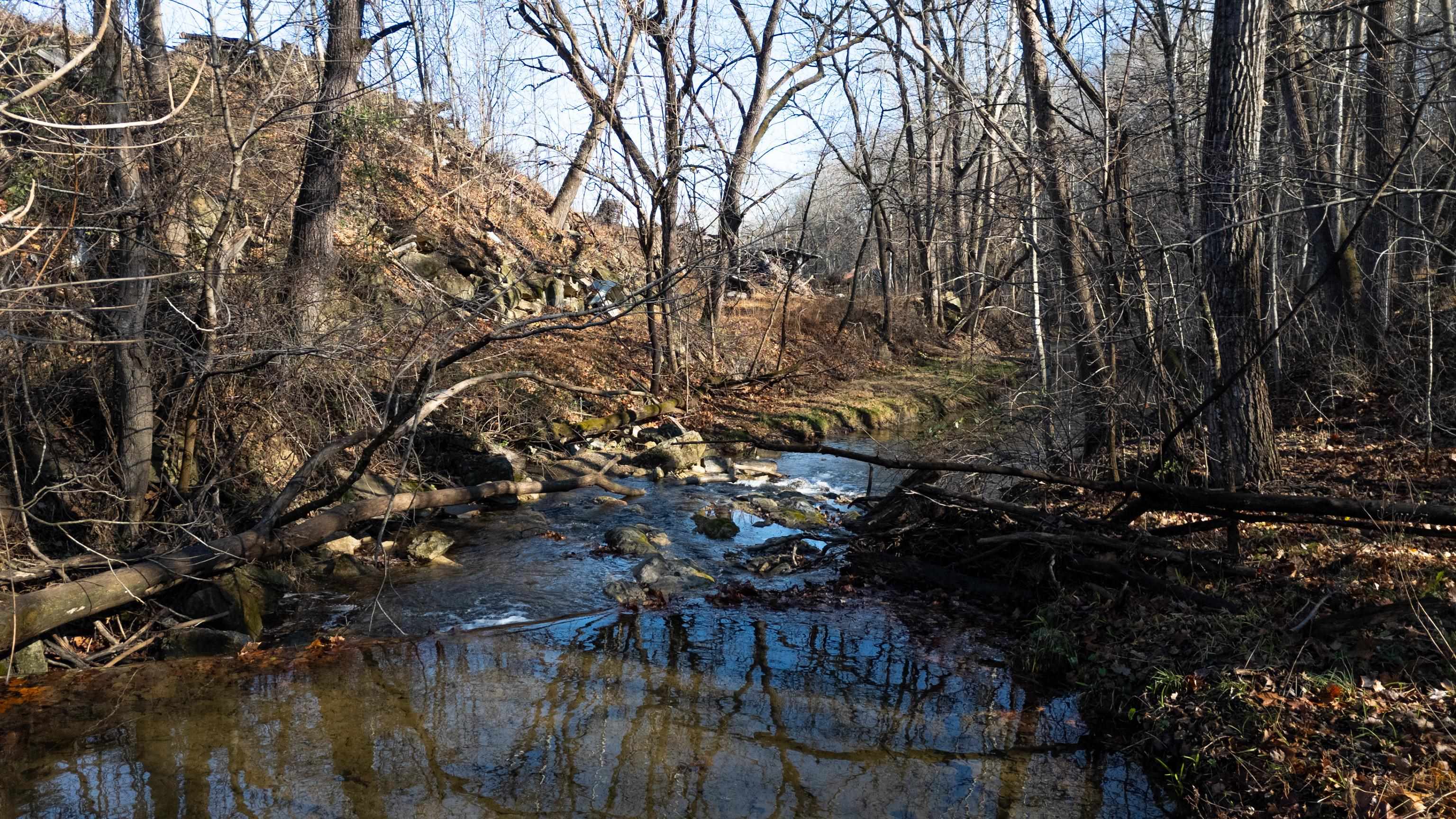 12.2 acres TURLEYTOWN RD, BROADWAY, Virginia 22815, ,Commercial,12.2 acres TURLEYTOWN RD,672773 MLS # 672773 12.2 acres TURLEYTOWN RD, BROADWAY, Virginia 22815, ,Commercial,12.2 acres TURLEYTOWN RD,672773 MLS # 672773