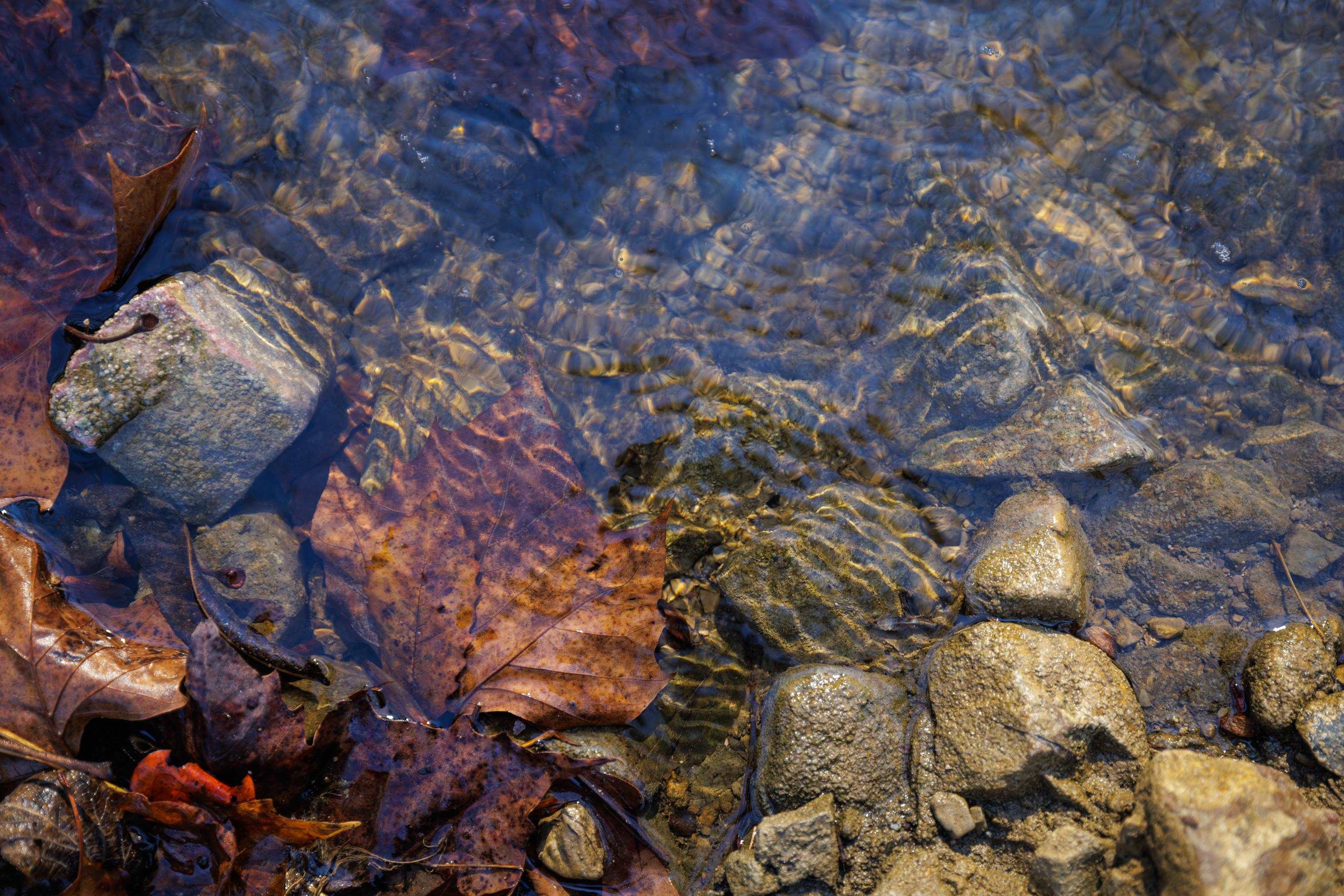 12.2 acres TURLEYTOWN RD, BROADWAY, Virginia 22815, ,Commercial,12.2 acres TURLEYTOWN RD,672773 MLS # 672773 12.2 acres TURLEYTOWN RD, BROADWAY, Virginia 22815, ,Commercial,12.2 acres TURLEYTOWN RD,672773 MLS # 672773