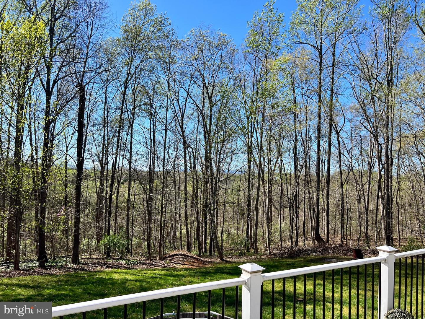 17006 BLACK OAK DR, BRANDY STATION, Virginia 22714, 6 Bedrooms Bedrooms, ,3 BathroomsBathrooms,Residential,For sale,17006 BLACK OAK DR,VACU2012516 MLS # VACU2012516