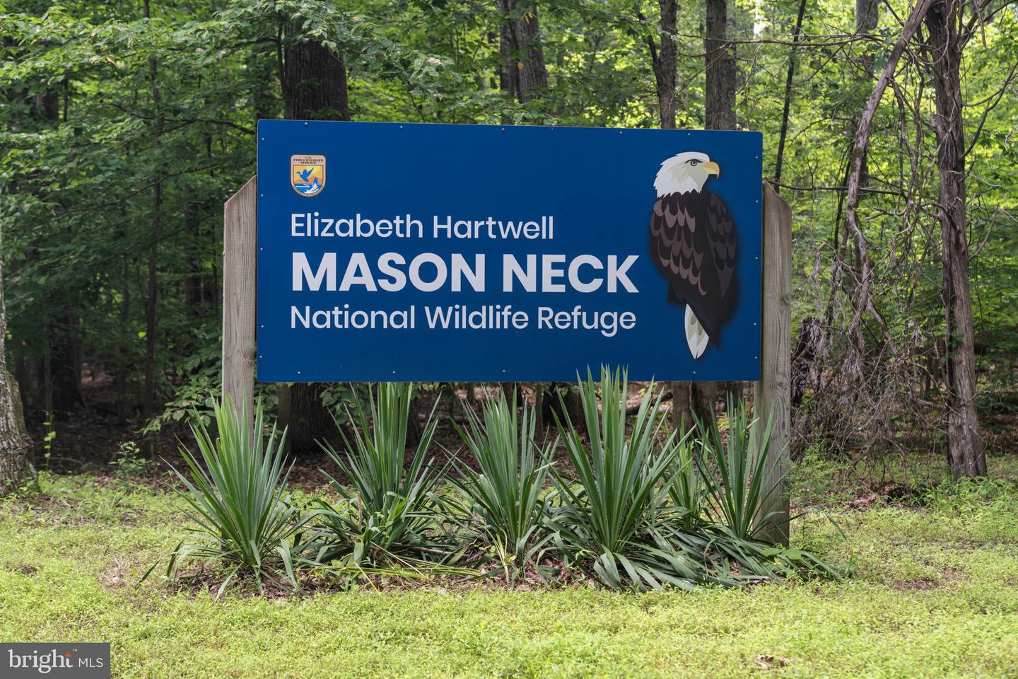 10806 BELMONT BLVD, LORTON, Virginia 22079, ,Land,For sale,10806 BELMONT BLVD,VAFX2261574 MLS # VAFX2261574