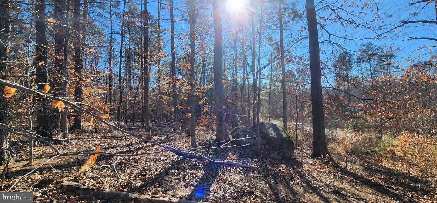 LOT 22 WOODLAND SHORES DR, LOUISA, Virginia 23093, ,Land,For sale,LOT 22 WOODLAND SHORES DR,VALA2009208 MLS # VALA2009208