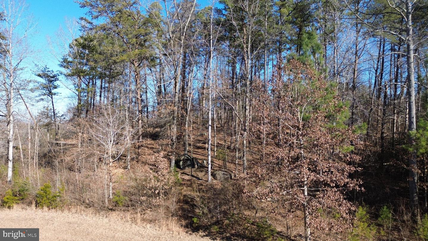 LOT 22 WOODLAND SHORES DR, LOUISA, Virginia 23093, ,Land,For sale,LOT 22 WOODLAND SHORES DR,VALA2009208 MLS # VALA2009208