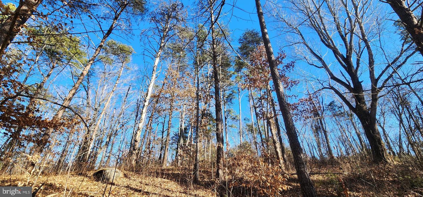 LOT 22 WOODLAND SHORES DR, LOUISA, Virginia 23093, ,Land,For sale,LOT 22 WOODLAND SHORES DR,VALA2009208 MLS # VALA2009208