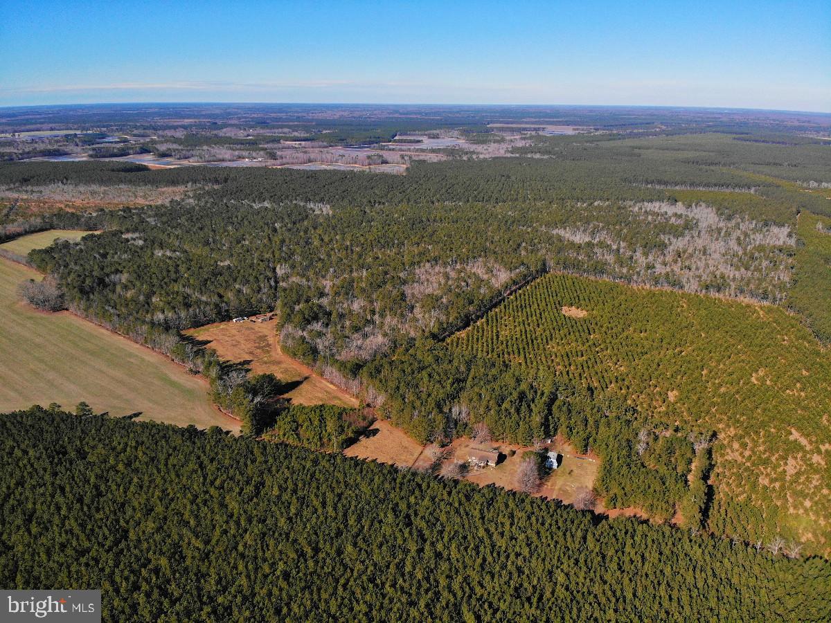 0 BURWELLS BAY RD, SMITHFIELD, Virginia 23430, ,Farm,For sale,0 BURWELLS BAY RD,VAIW2000062 MLS # VAIW2000062