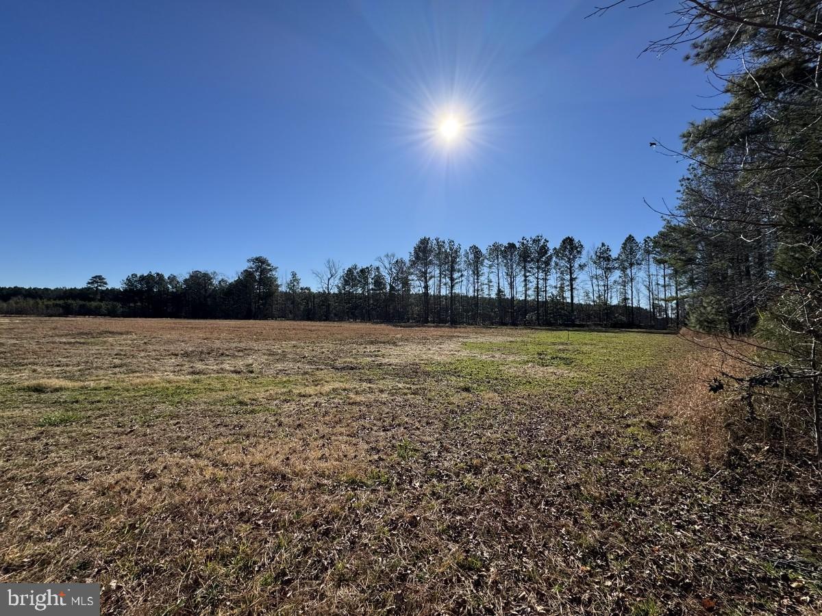 0 BURWELLS BAY RD, SMITHFIELD, Virginia 23430, ,Farm,For sale,0 BURWELLS BAY RD,VAIW2000062 MLS # VAIW2000062