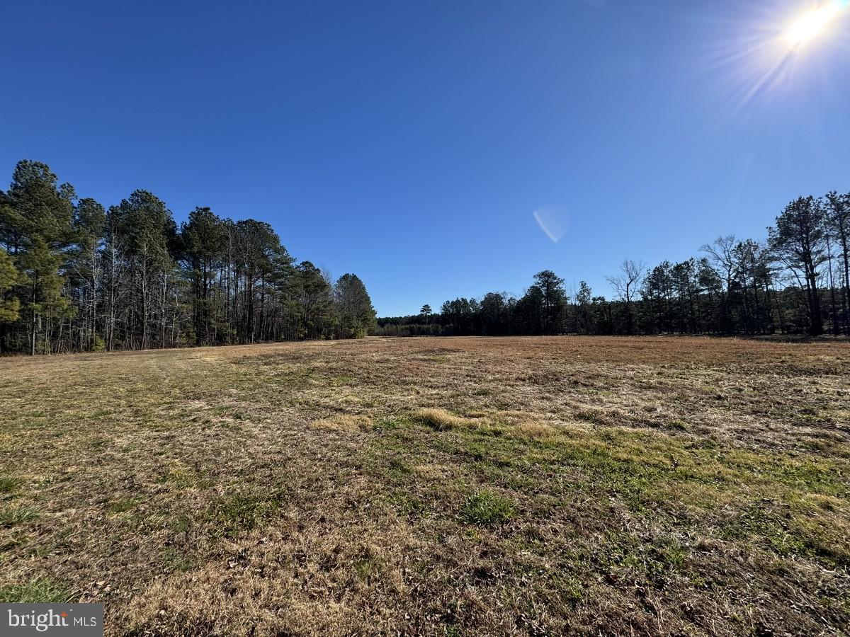 0 BURWELLS BAY RD, SMITHFIELD, Virginia 23430, ,Farm,For sale,0 BURWELLS BAY RD,VAIW2000062 MLS # VAIW2000062