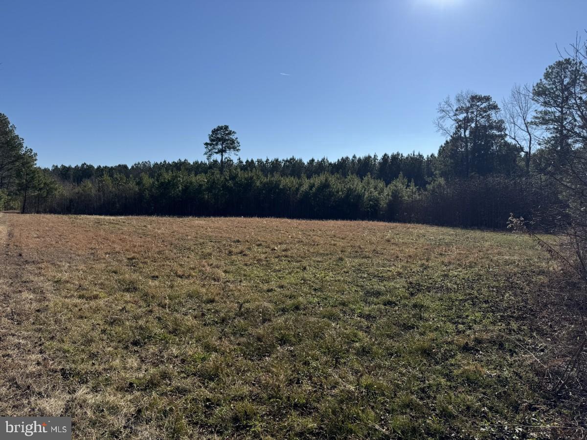 0 BURWELLS BAY RD, SMITHFIELD, Virginia 23430, ,Farm,For sale,0 BURWELLS BAY RD,VAIW2000062 MLS # VAIW2000062