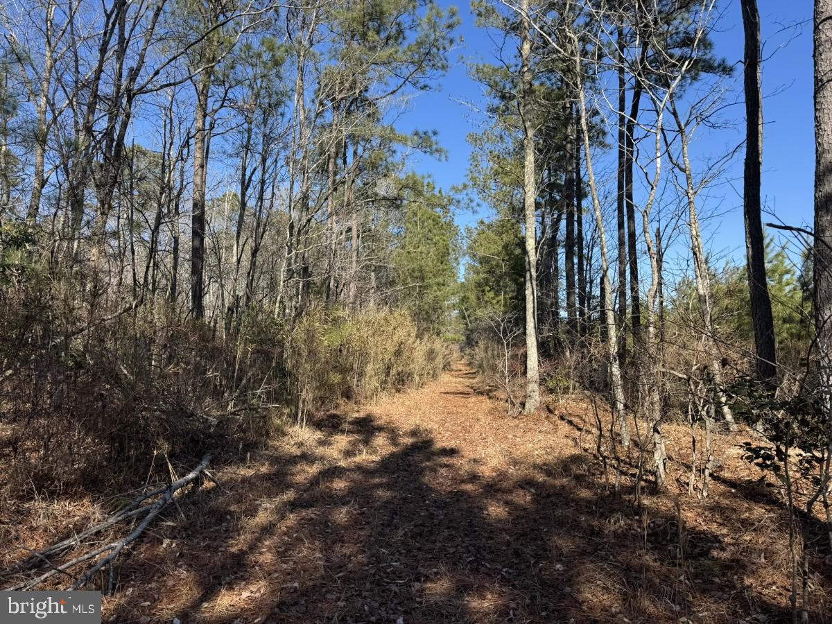 0 BURWELLS BAY RD, SMITHFIELD, Virginia 23430, ,Farm,For sale,0 BURWELLS BAY RD,VAIW2000062 MLS # VAIW2000062