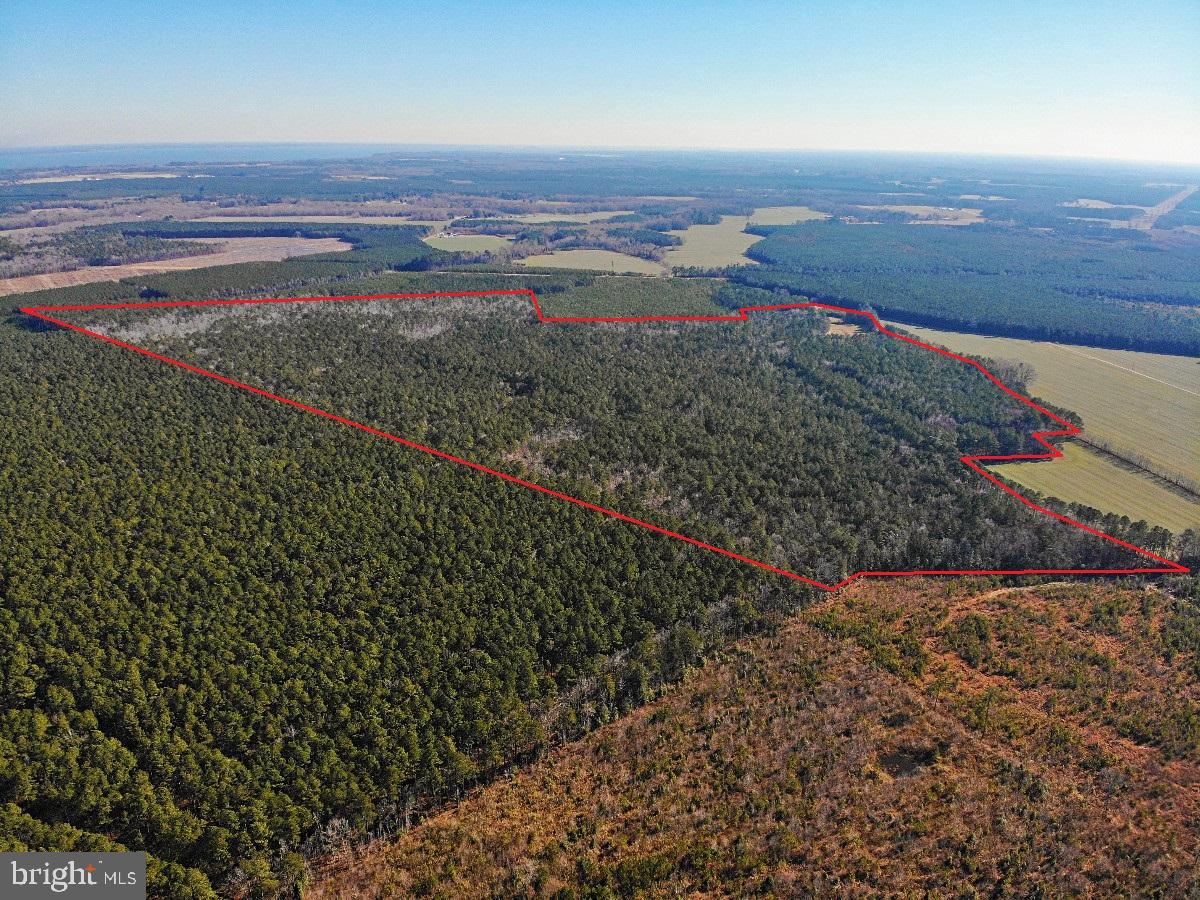 0 BURWELLS BAY RD, SMITHFIELD, Virginia 23430, ,Farm,For sale,0 BURWELLS BAY RD,VAIW2000062 MLS # VAIW2000062