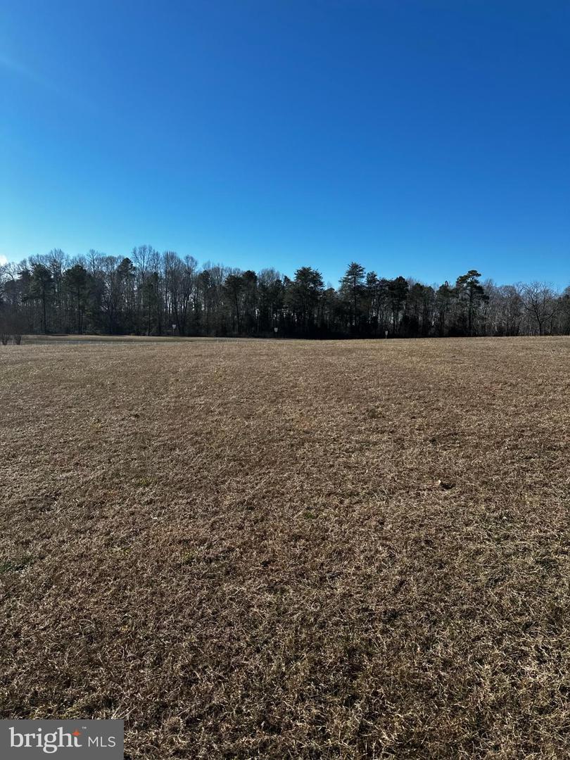 PORTOBAGO TRL LOT 3, PORT ROYAL, Virginia 22535, ,Land,For sale,PORTOBAGO TRL LOT 3,VACV2009432 MLS # VACV2009432
