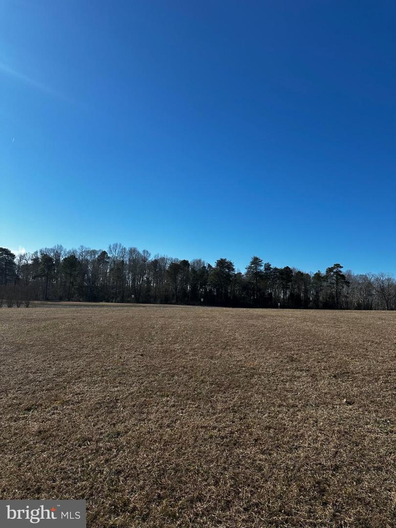 PORTOBAGO TRL LOT 3, PORT ROYAL, Virginia 22535, ,Land,For sale,PORTOBAGO TRL LOT 3,VACV2009432 MLS # VACV2009432
