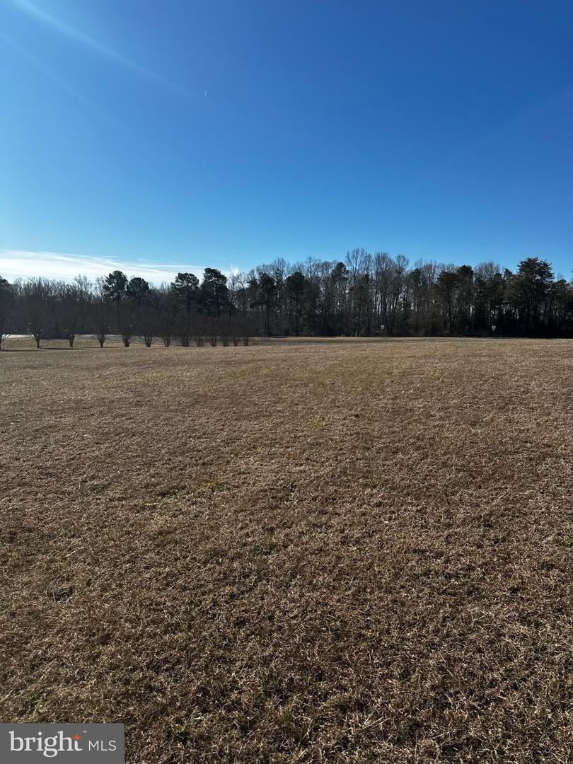 PORTOBAGO TRL LOT 3, PORT ROYAL, Virginia 22535, ,Land,For sale,PORTOBAGO TRL LOT 3,VACV2009432 MLS # VACV2009432