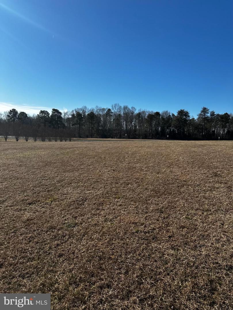 PORTOBAGO TRL LOT 3, PORT ROYAL, Virginia 22535, ,Land,For sale,PORTOBAGO TRL LOT 3,VACV2009432 MLS # VACV2009432