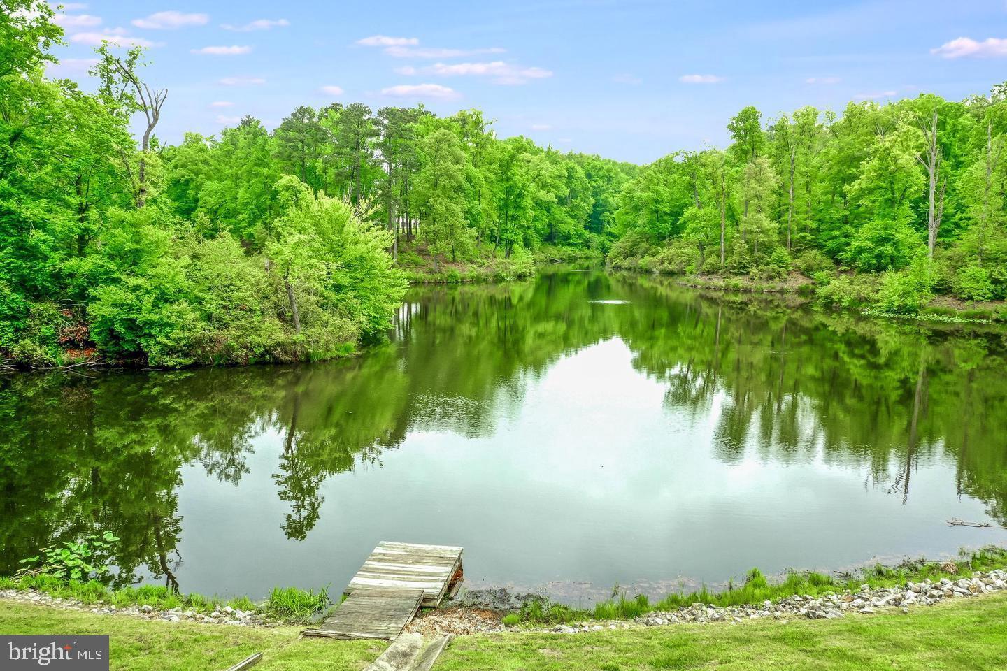 PORTOBAGO TRL LOT 3, PORT ROYAL, Virginia 22535, ,Land,For sale,PORTOBAGO TRL LOT 3,VACV2009432 MLS # VACV2009432